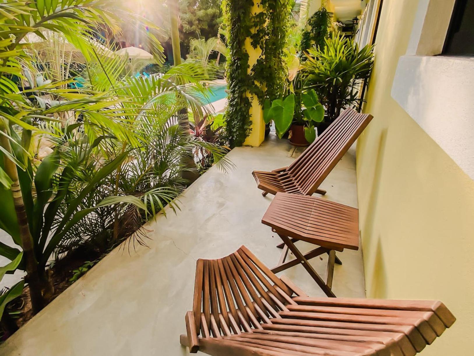 Gallo Azul Hotel, En El Corazon De Todos Santos Bagian luar foto