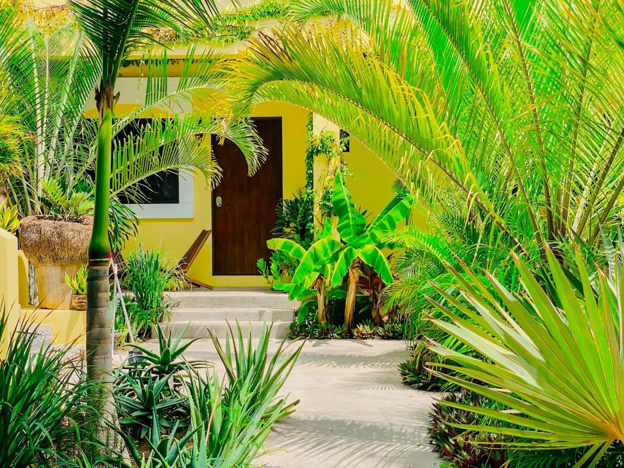 Gallo Azul Hotel, En El Corazon De Todos Santos Bagian luar foto