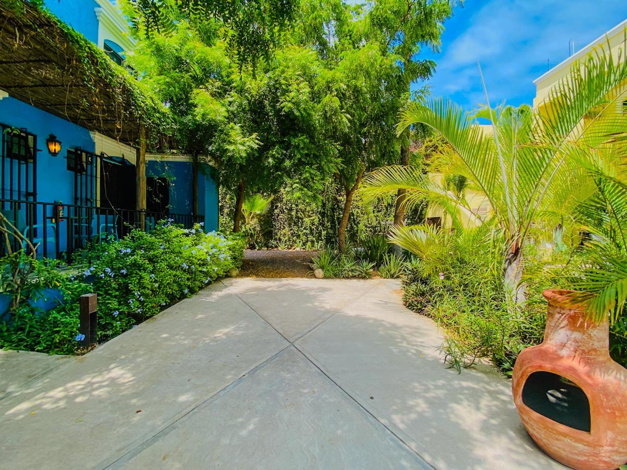 Gallo Azul Hotel, En El Corazon De Todos Santos Bagian luar foto
