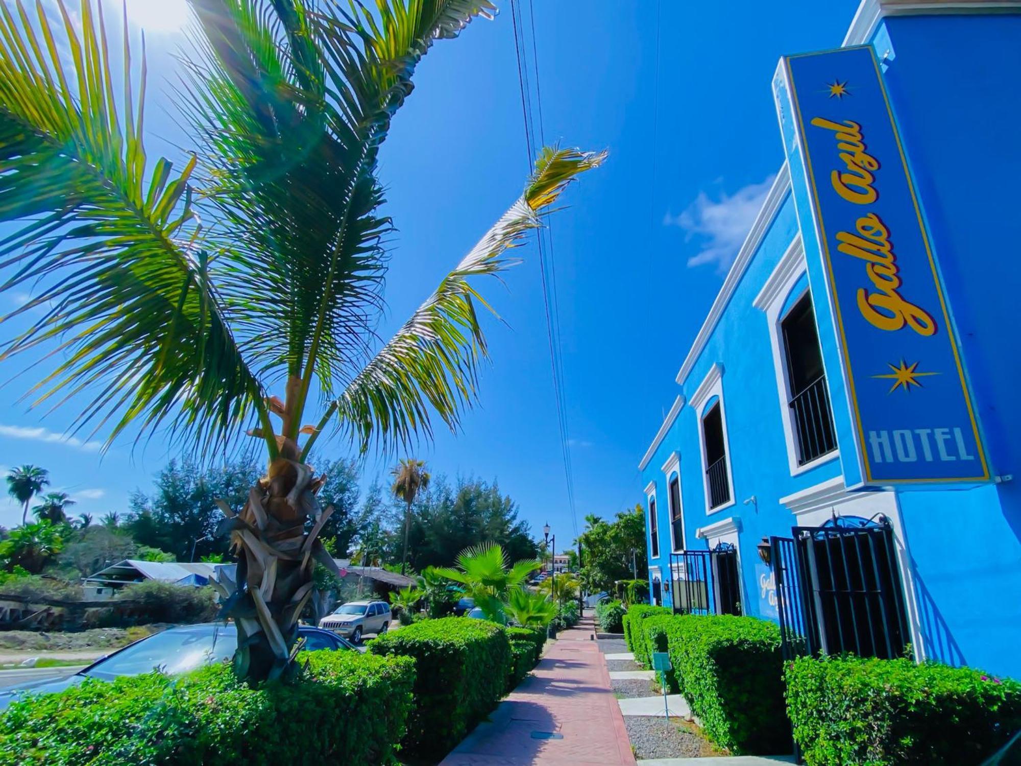 Gallo Azul Hotel, En El Corazon De Todos Santos Bagian luar foto
