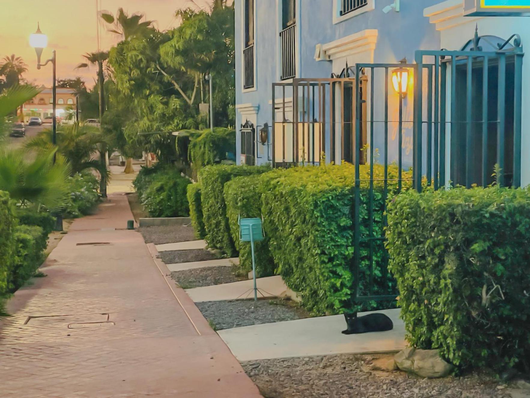 Gallo Azul Hotel, En El Corazon De Todos Santos Bagian luar foto