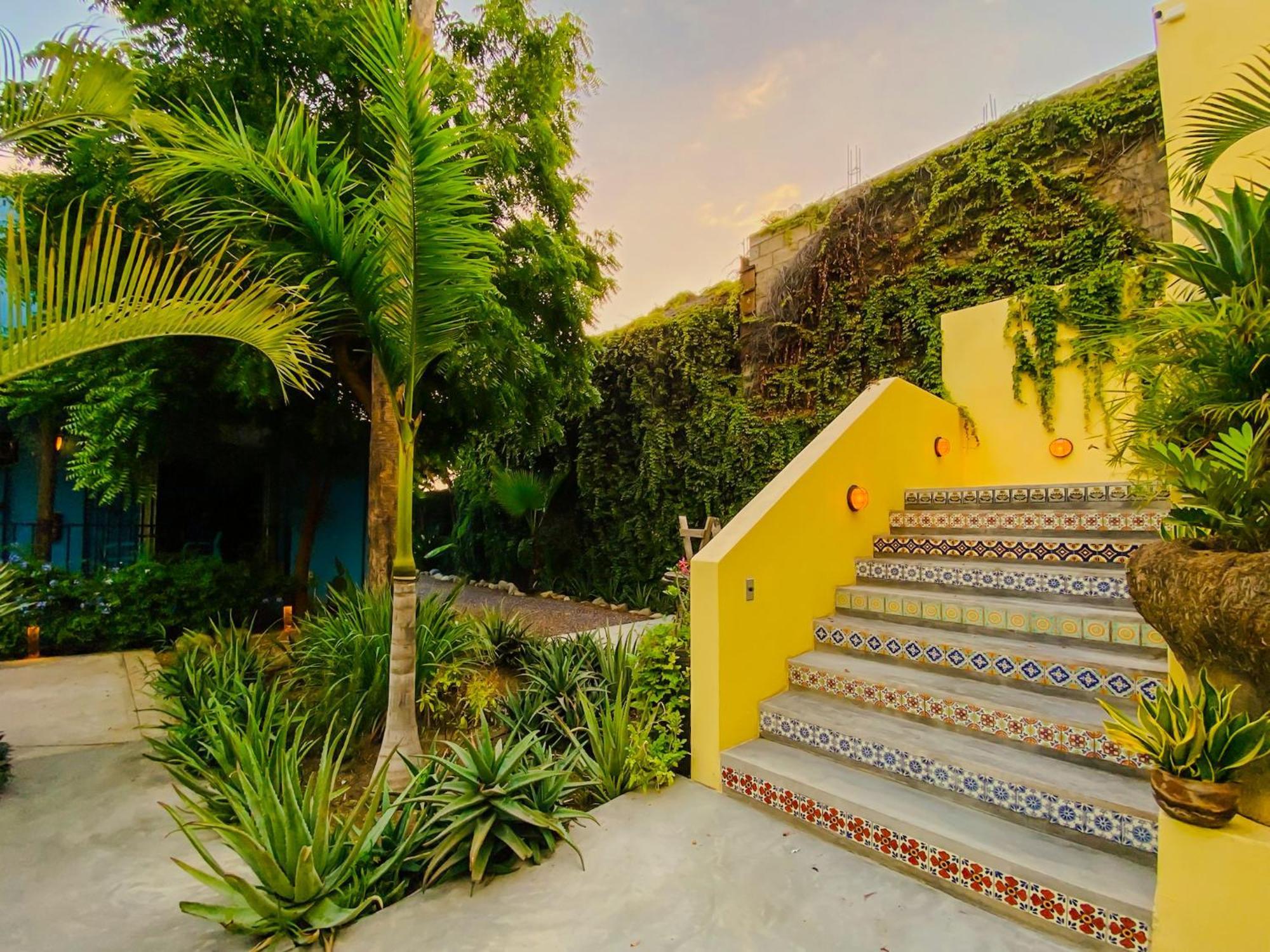 Gallo Azul Hotel, En El Corazon De Todos Santos Bagian luar foto